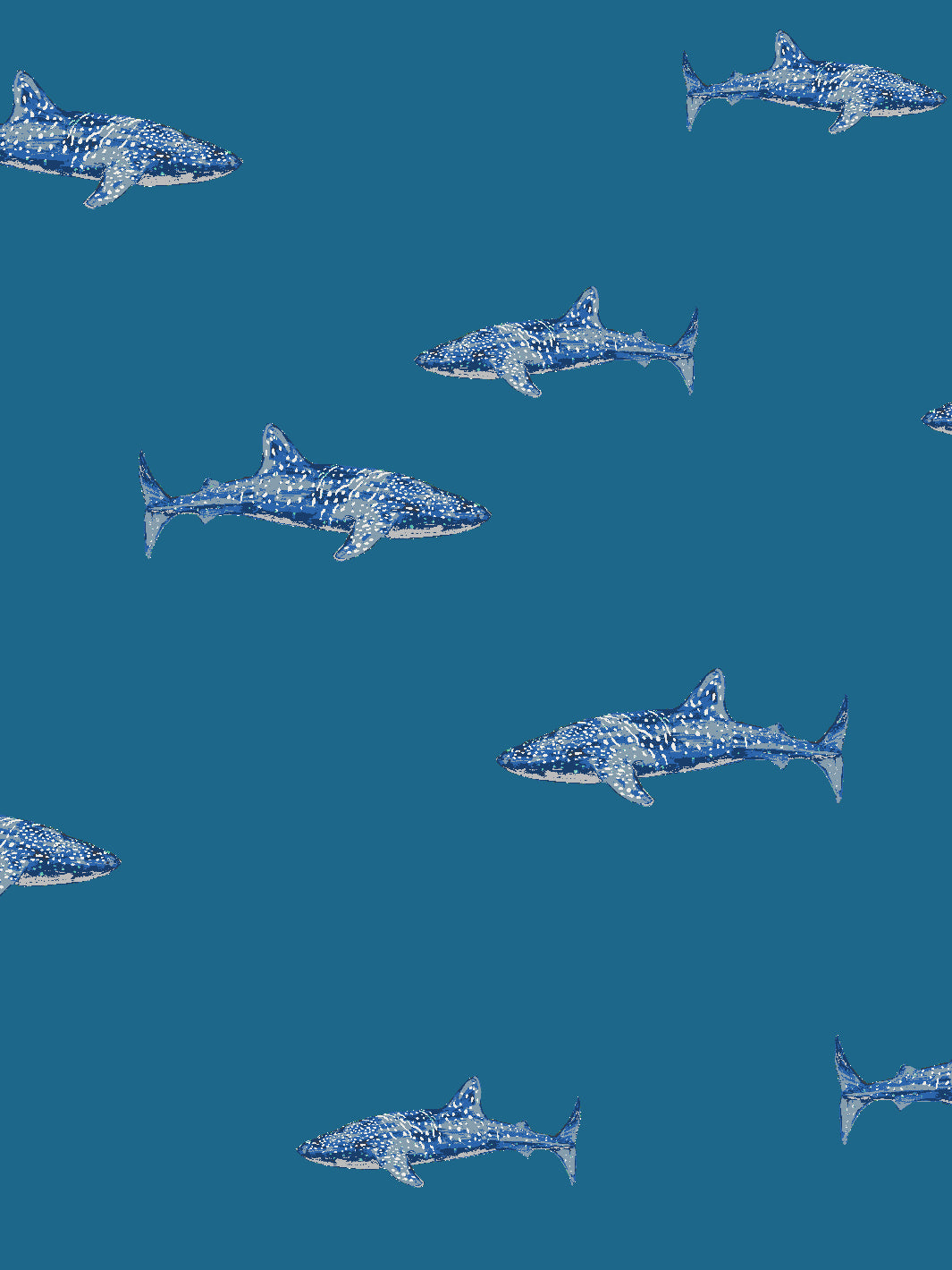 spotted-shark-wallpaper-by-tea-collection-cadet-blue