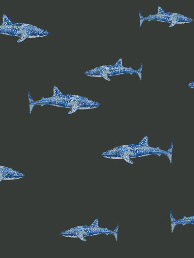 spotted shark wallpaper by tea collection charcoal