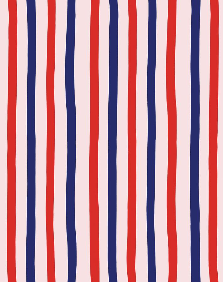 stripes-red-shell