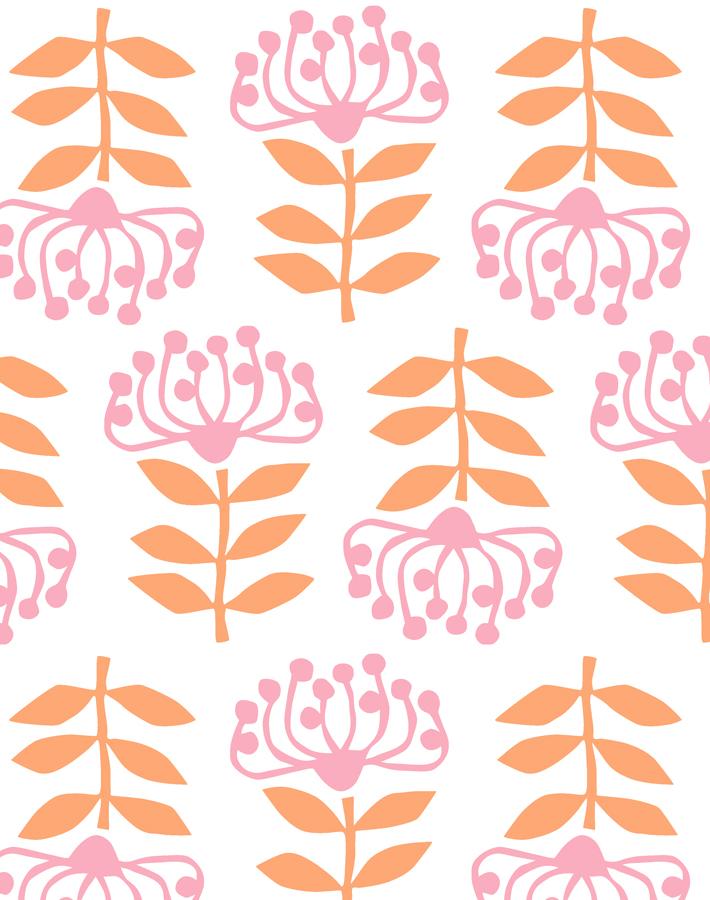 stylized-papyrus-creamsicle
