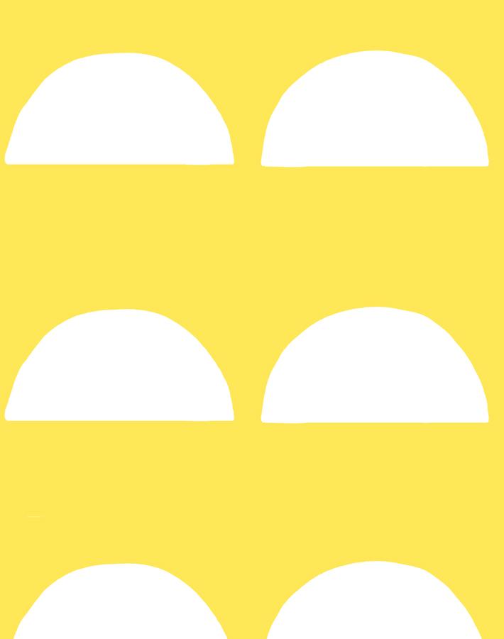 sun-tile-daffodil