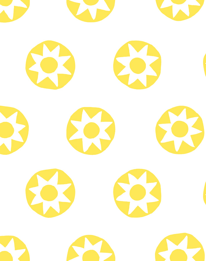 sun-dial-daffodil