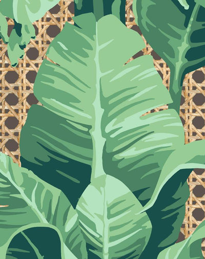 'Sunnylands Palm' Wallpaper by Nathan Turner - Chocolate