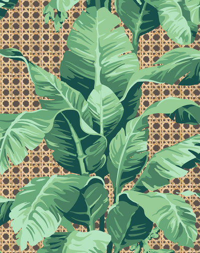 'Sunnylands Palm' Wallpaper by Nathan Turner - Chocolate