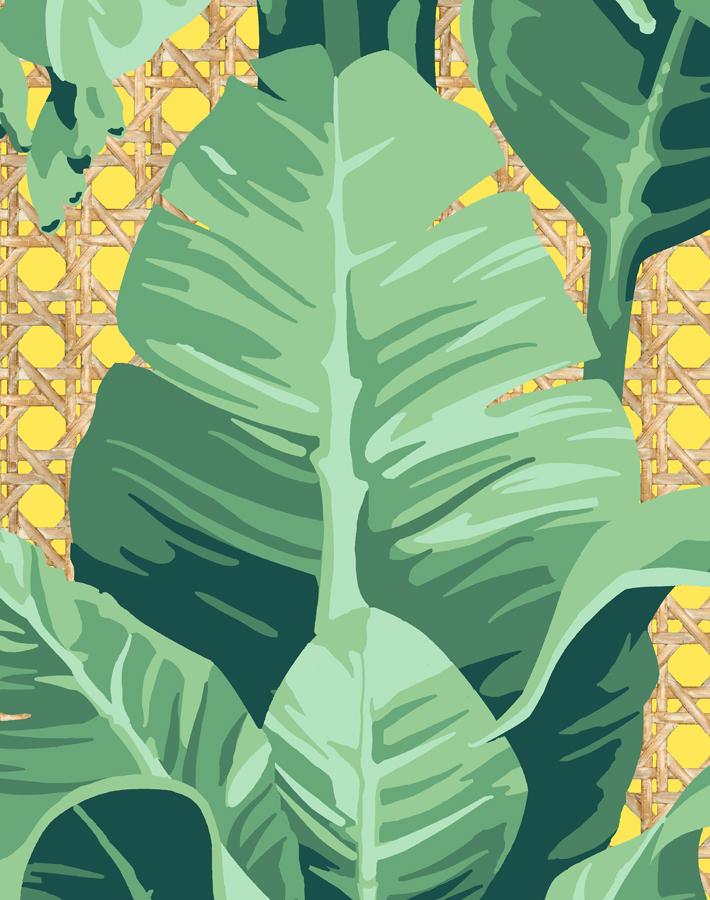 'Sunnylands Palm' Wallpaper by Nathan Turner - Daffodil