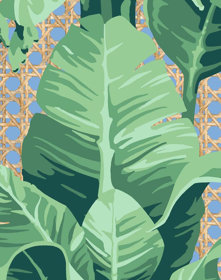 'Sunnylands Palm' Wallpaper by Nathan Turner - Denim