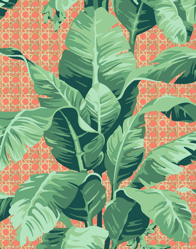 'Sunnylands Palm' Wallpaper by Nathan Turner - Persimmon