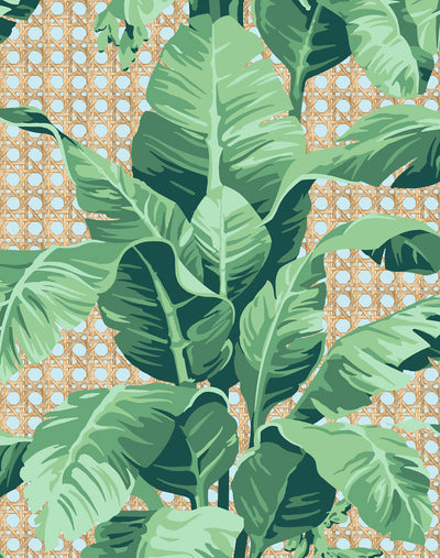 'Sunnylands Palm' Wallpaper by Nathan Turner - Sky