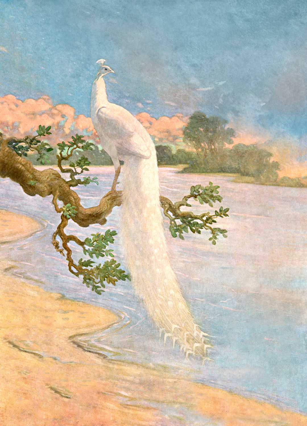 white peacock removable mural