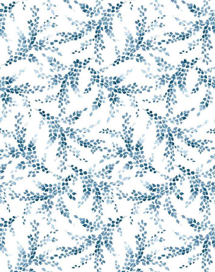 sweet-caroline-blue