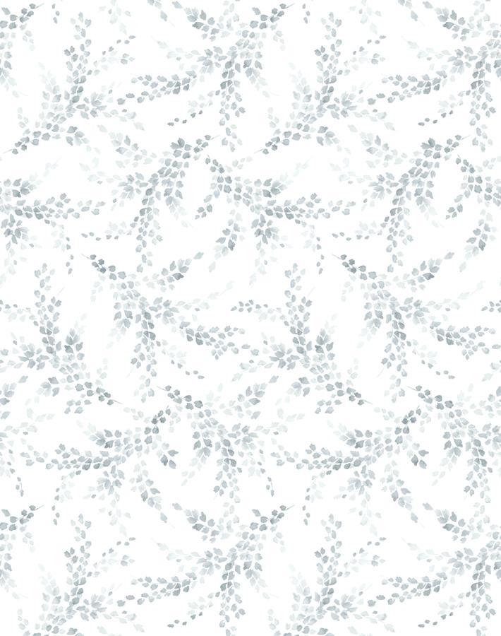 sweet-caroline-fog