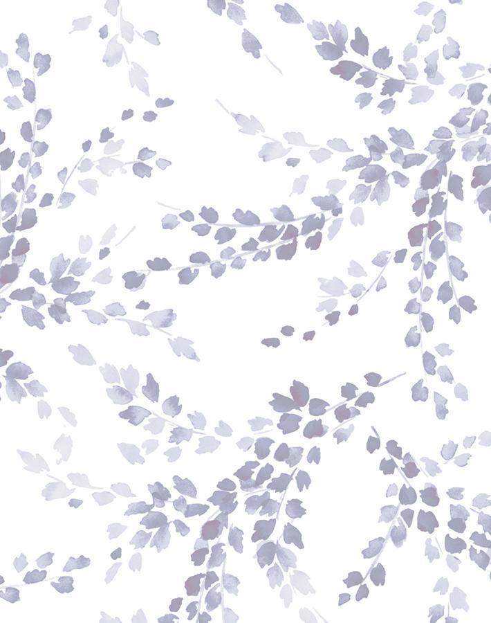 sweet-caroline-lavender