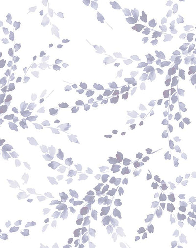 sweet caroline lavender