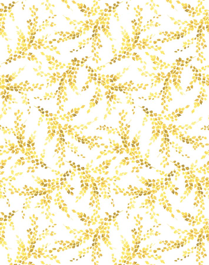 sweet-caroline-yellow