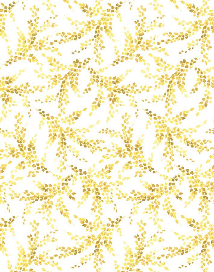 sweet-caroline-yellow