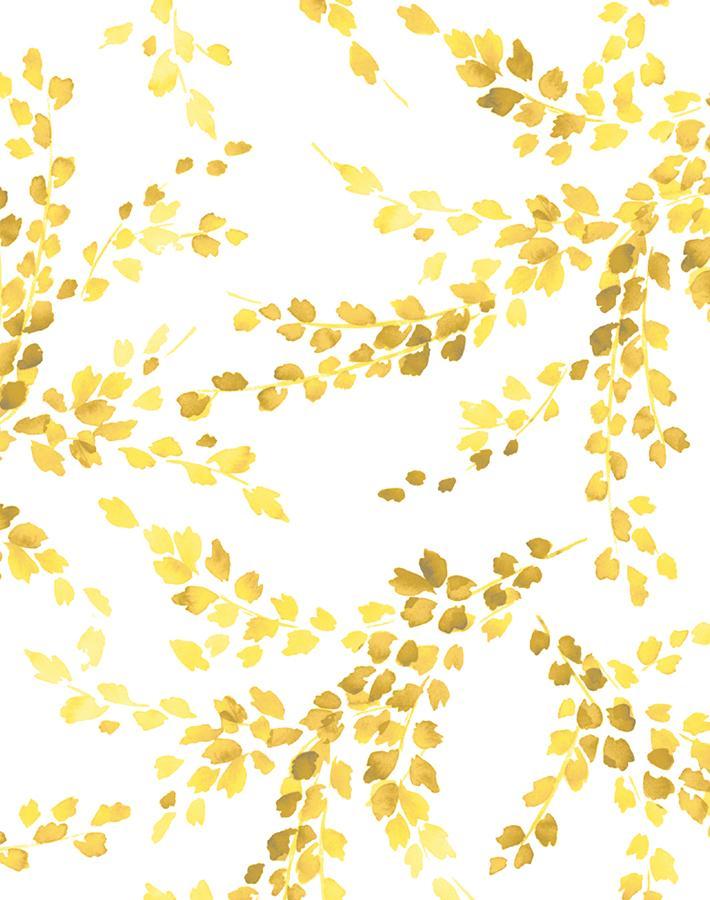 sweet-caroline-yellow