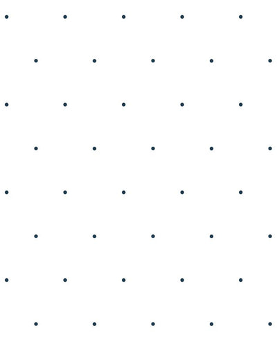 signature dot navy on white