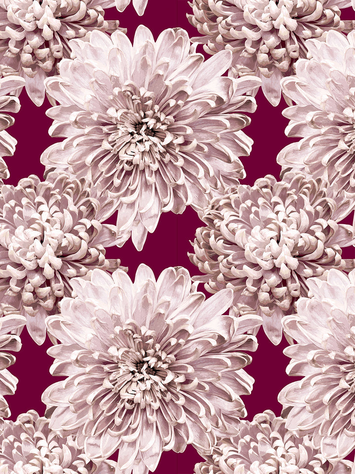 the-mums-wallpaper-by-sarah-jessica-parker-claret