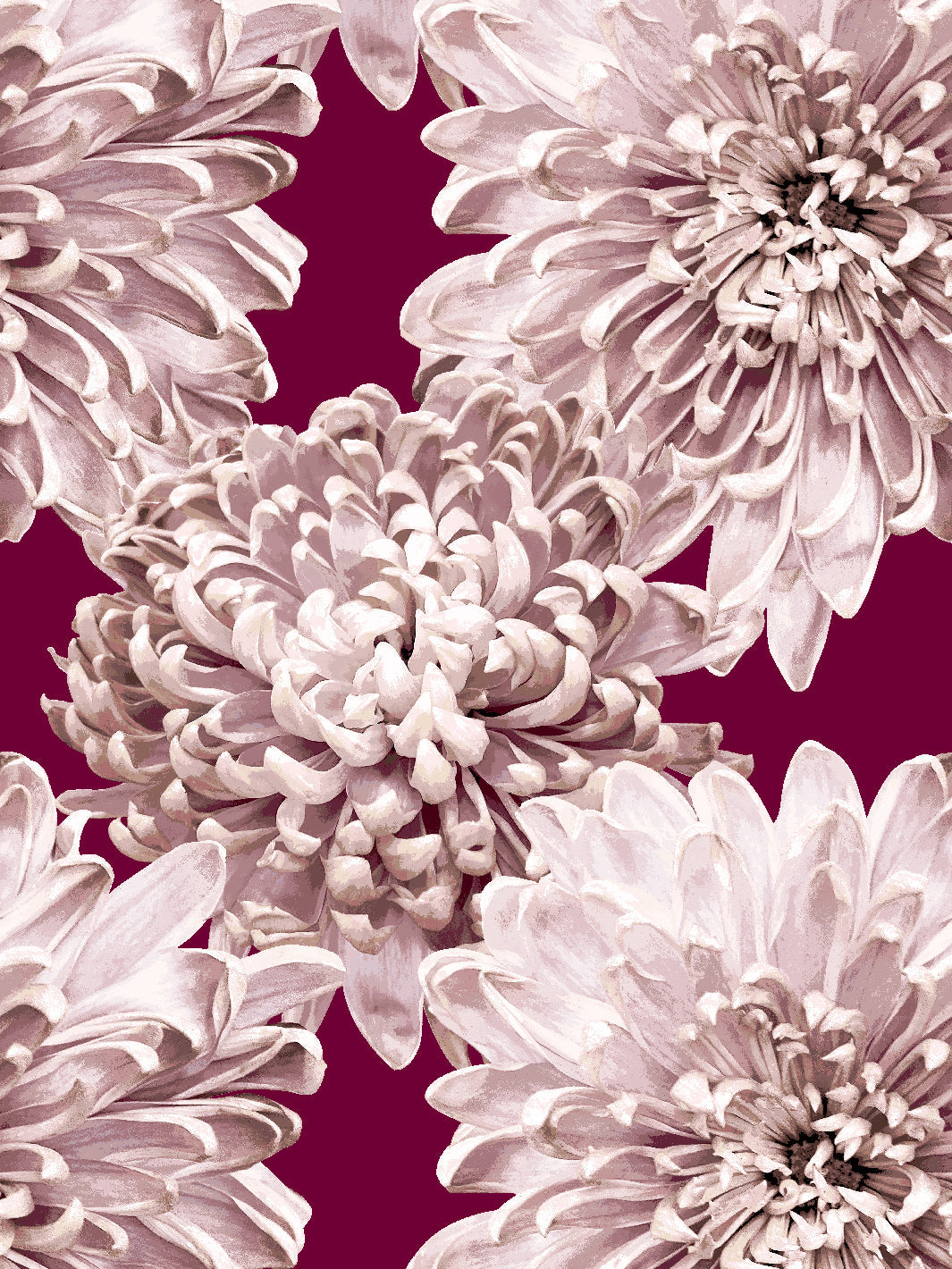 the-mums-wallpaper-by-sarah-jessica-parker-claret