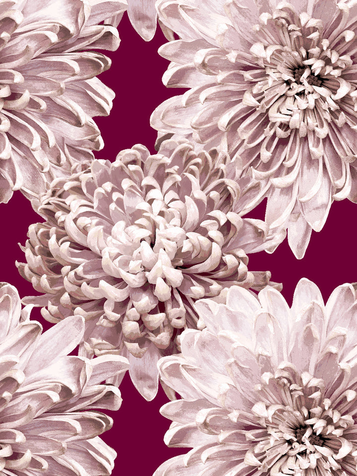 the-mums-wallpaper-by-sarah-jessica-parker-claret