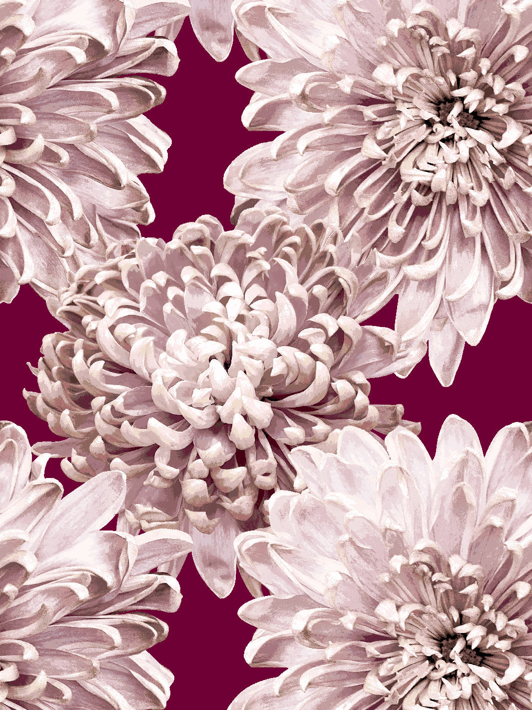 'The Mums' Wallpaper by Sarah Jessica Parker - Claret