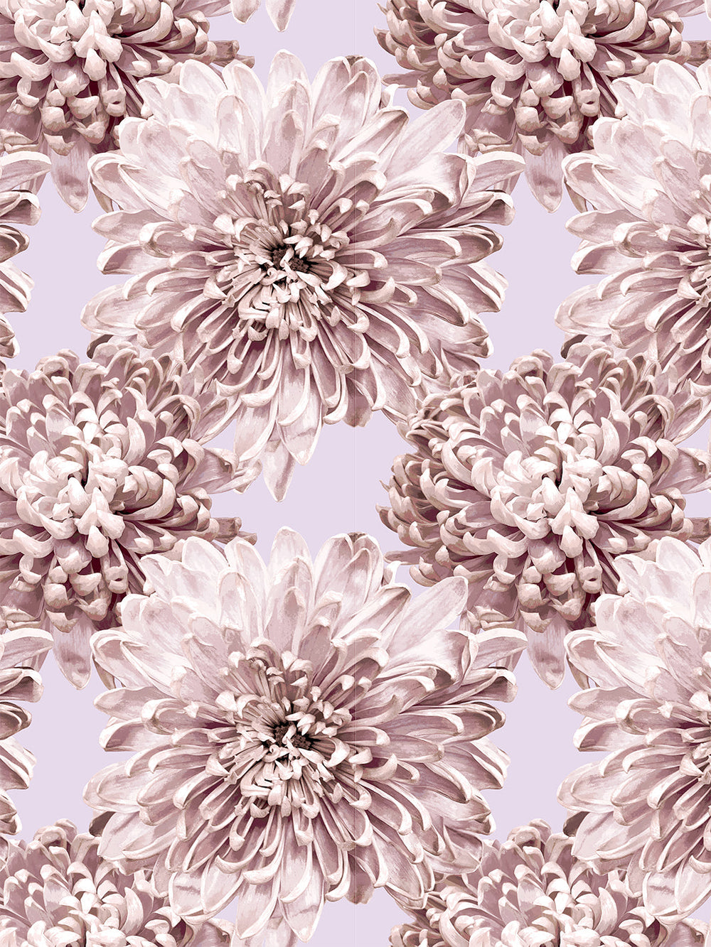 the-mums-wallpaper-by-sarah-jessica-parker-lavender