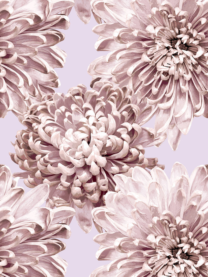 the-mums-wallpaper-by-sarah-jessica-parker-lavender