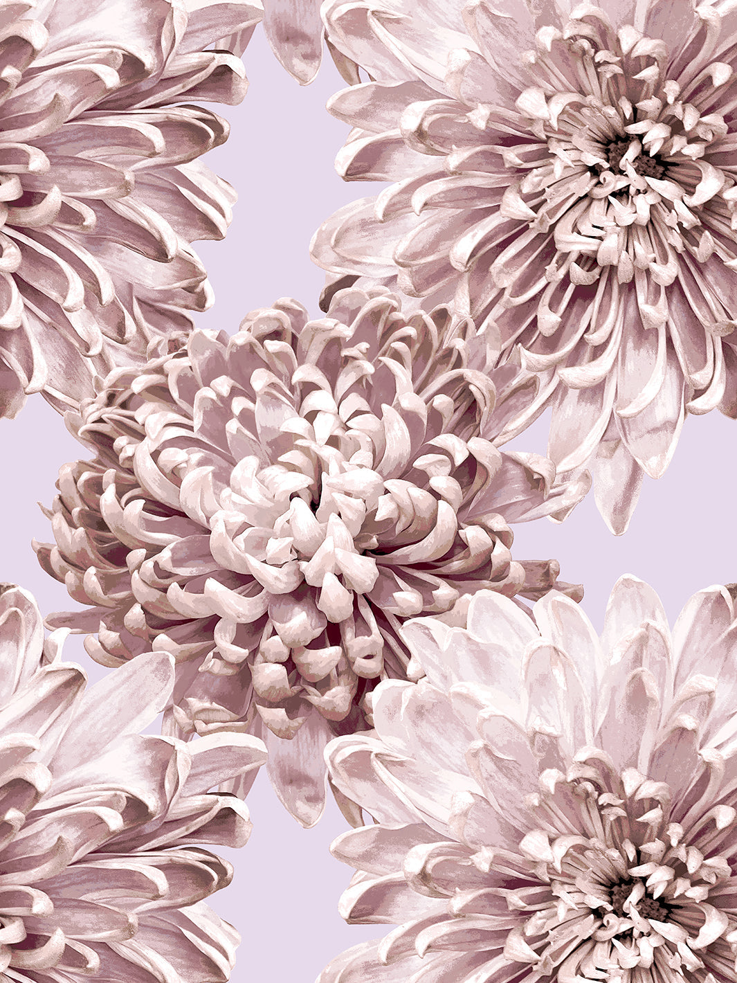 'The Mums' Wallpaper by Sarah Jessica Parker - Lavender