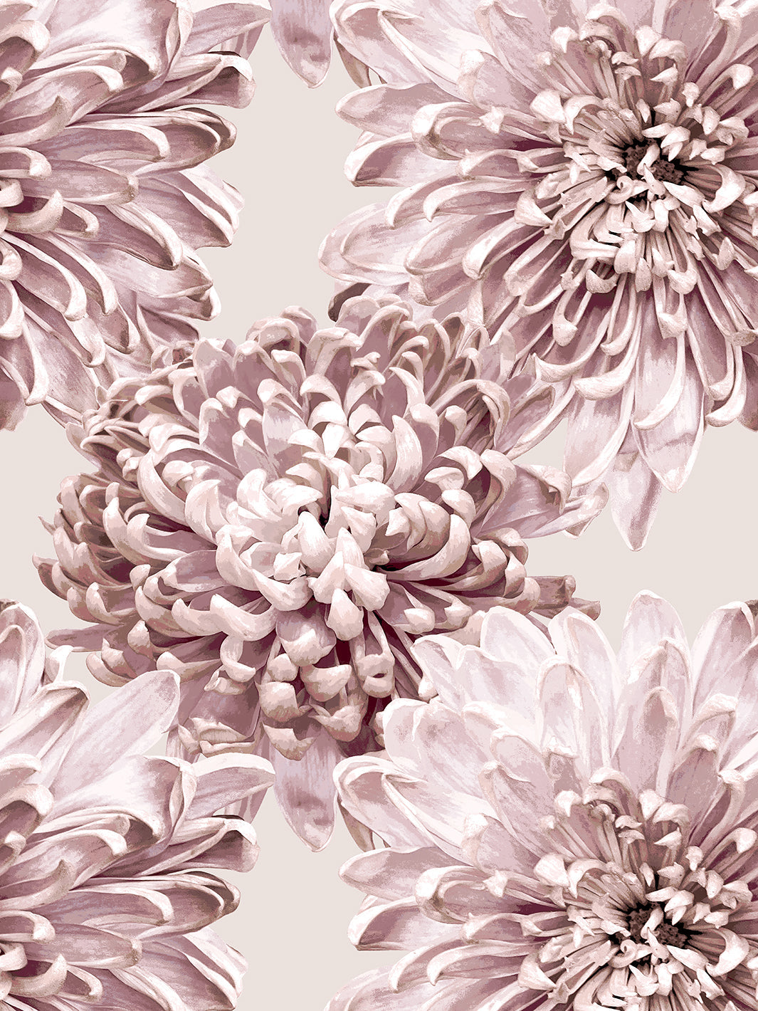'The Mums' Wallpaper by Sarah Jessica Parker - Oyster