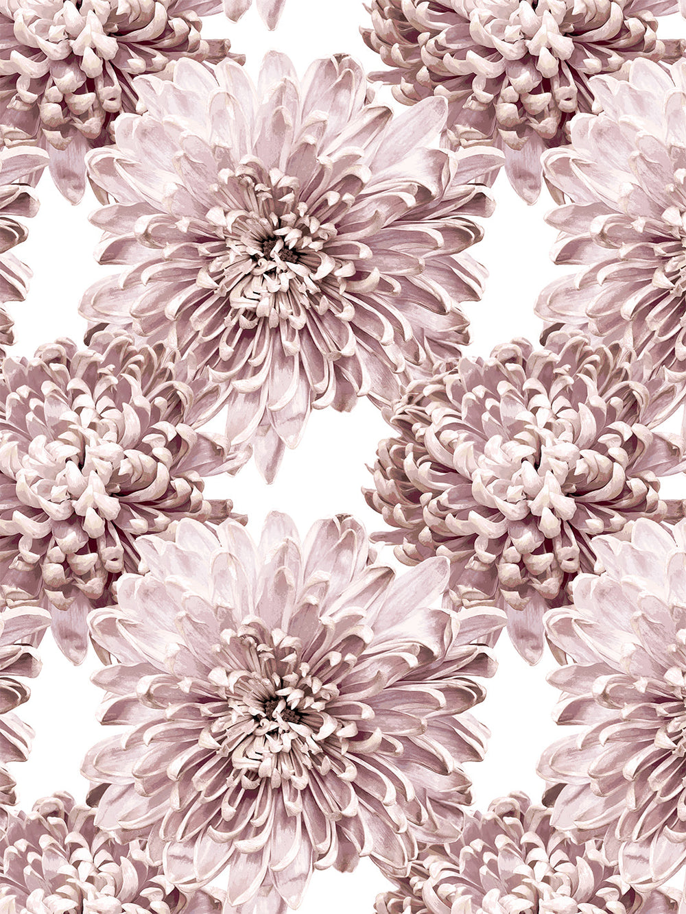 the-mums-wallpaper-by-sarah-jessica-parker-powder
