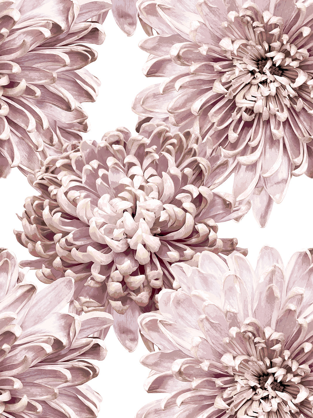 'The Mums' Wallpaper by Sarah Jessica Parker - Powder