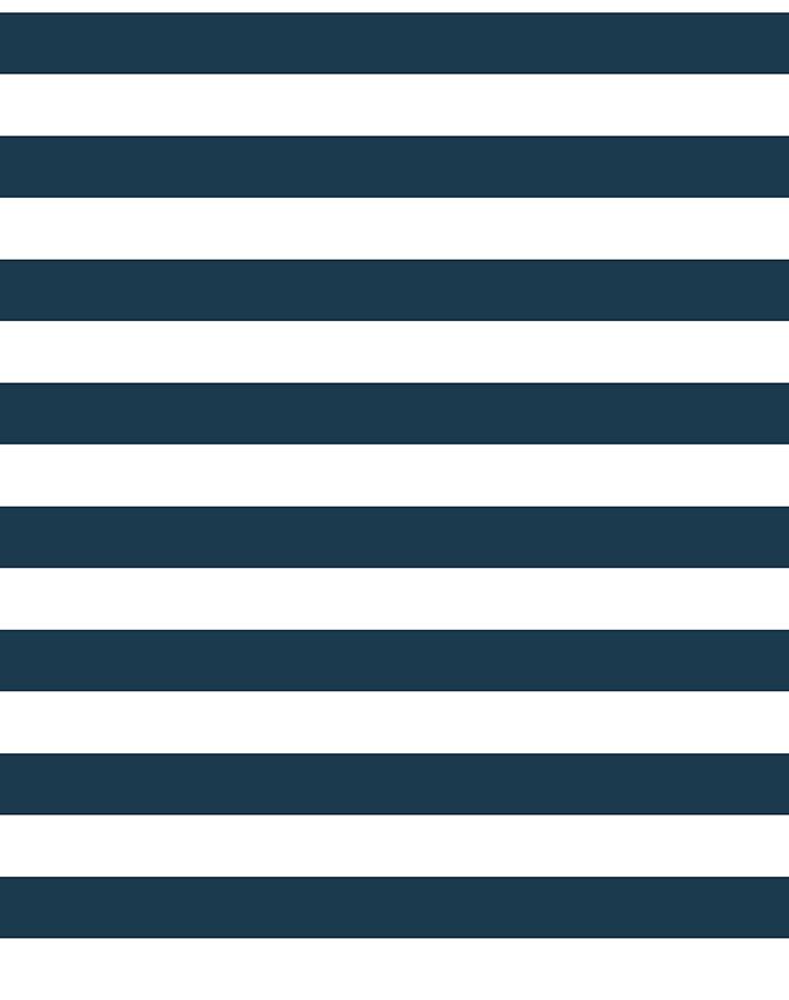 cabana stripe navy