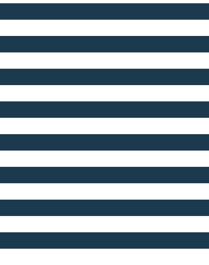 'Cabana Stripe' Wallpaper by Sugar Paper - Navy