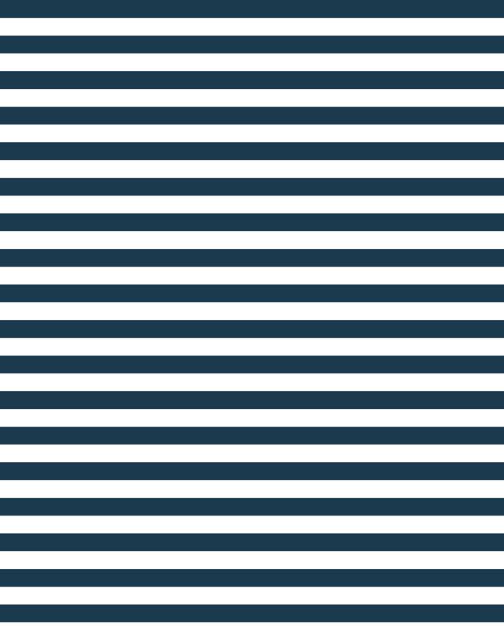 cabana stripe navy
