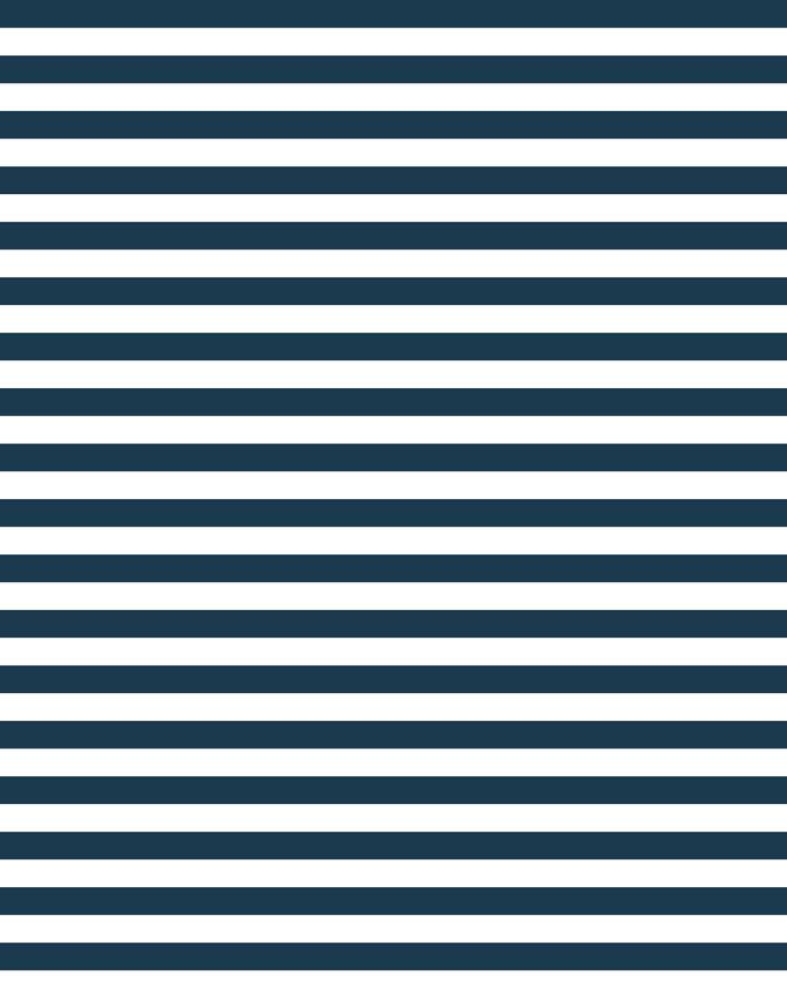 'Cabana Stripe' Wallpaper by Sugar Paper - Navy