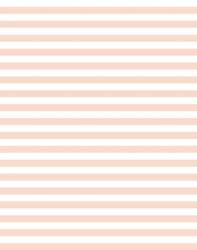 'Cabana Stripe' Wallpaper by Sugar Paper - Pink