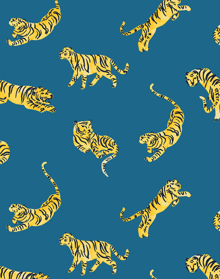 tigers-cadet-blue