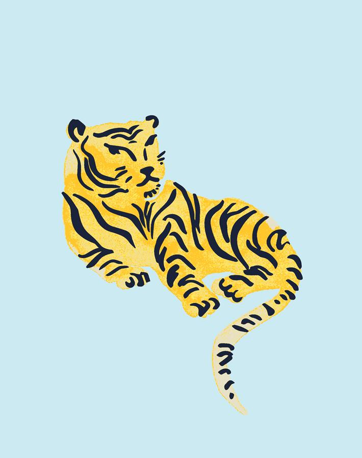 tigers sky