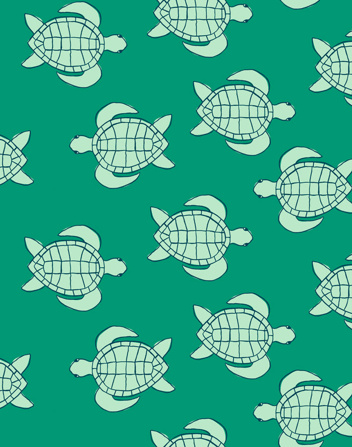 trailing-turtles-emerald