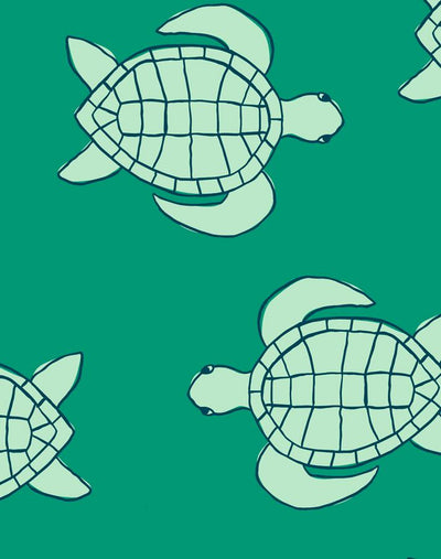 trailing turtles emerald