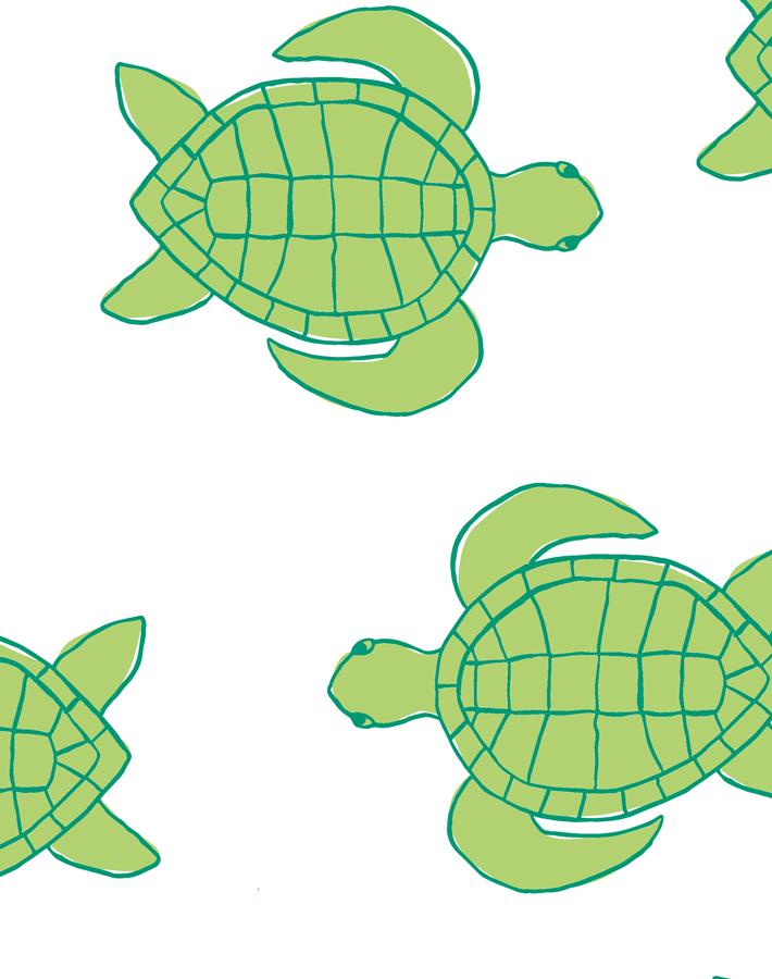 trailing-turtles-lime