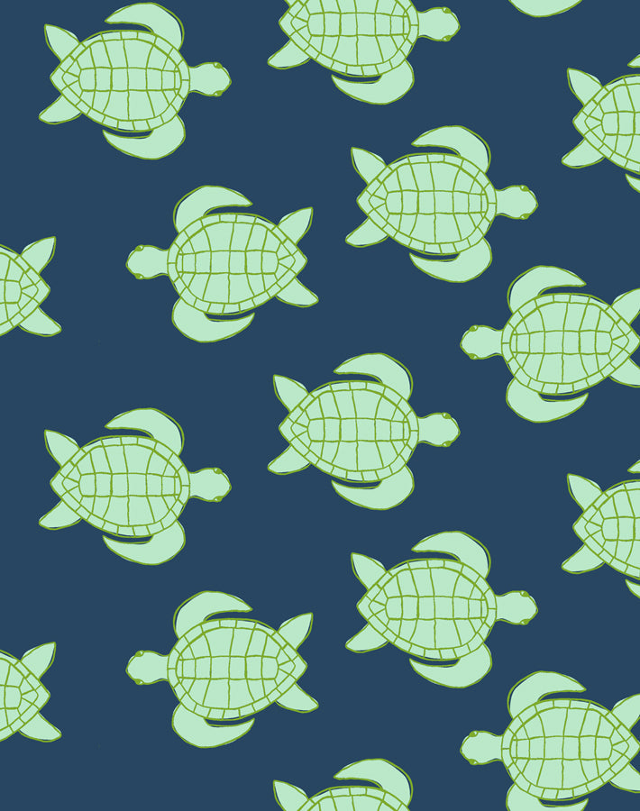 trailing-turtles-navy