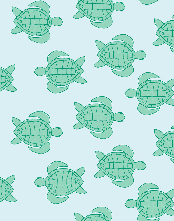 trailing-turtles-pale-blue