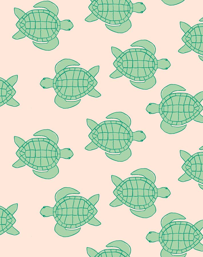 trailing turtles peach