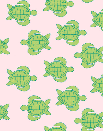 trailing turtles piggy bank