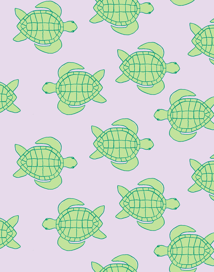 trailing turtles lavender