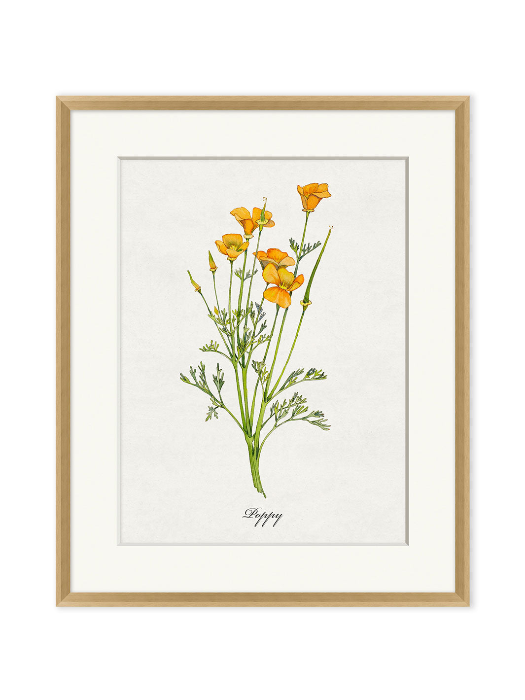 'Valley Wildflower Poppy' by Nathan Turner Framed Art
