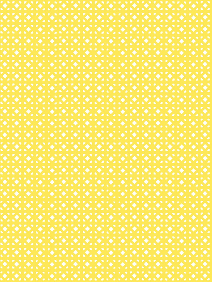 barbie-dreamhouse-breezeblocks-wallpaper-by-barbie-daffodil