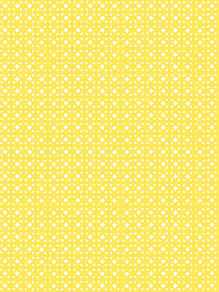 'Barbie™ Dreamhouse Breezeblocks' Wallpaper by Barbie™ - Daffodil
