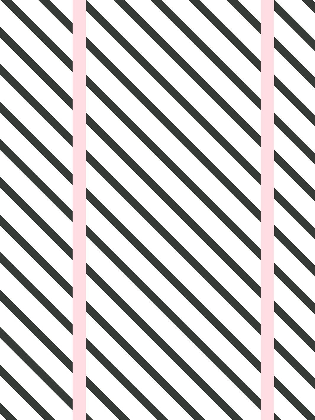 'Barbie™ Dreamhouse Stripes' Wallpaper by Barbie™ - Charcoal Pink